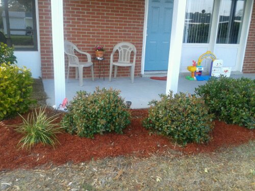 2012-02-22 15.47.41.jpg image