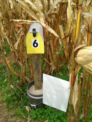 2012-10-27 14.07.00.jpg image