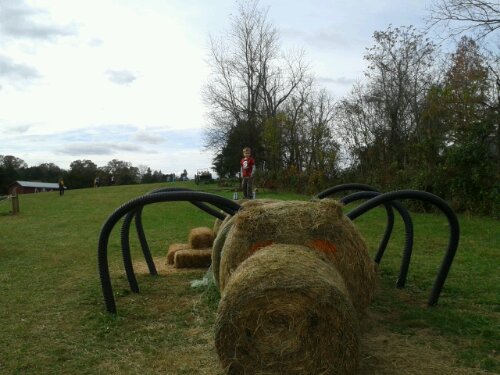 2012-10-27 14.37.49.jpg image