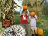 Pumpkin Patch Fun