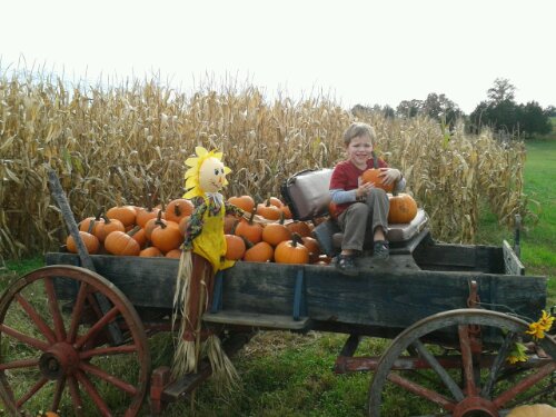 2012-10-27 15.22.12.jpg image