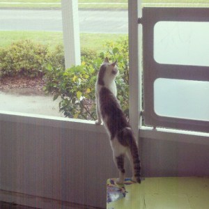 182839_10201276125330515_35961621_n