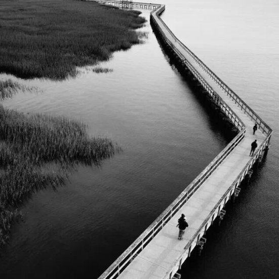 IMG_20131226_094813.jpg image