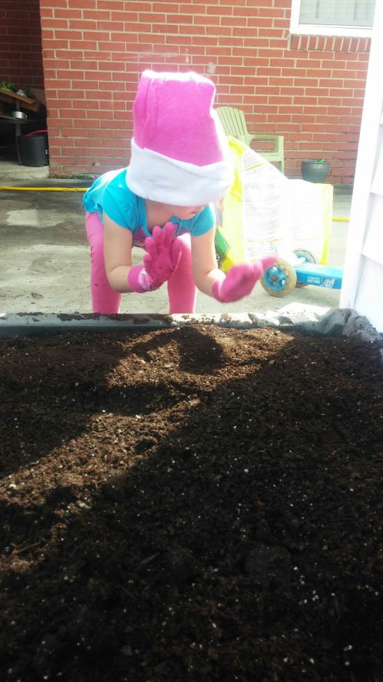 0321141641.jpg image